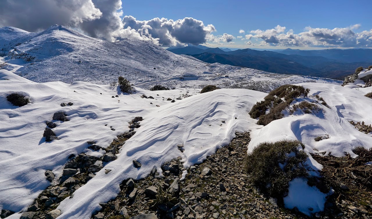snowfall in the Sierra de las Nieves national park in Malaga. Andalusia, Spain