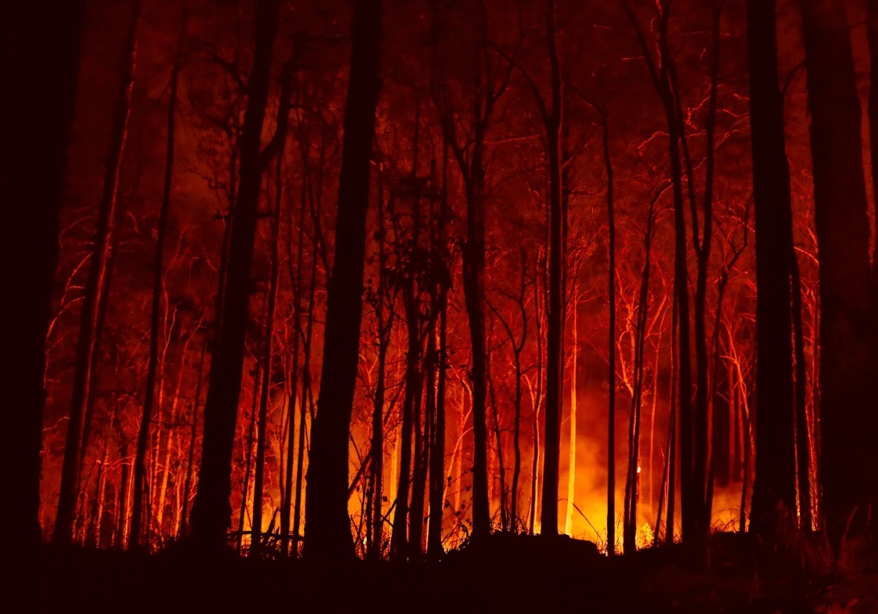 Bushfire in Bowraville, NSW, November 2019